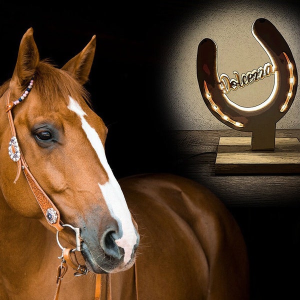 Hufeisen Lampe, Personalisierte Nachtischlampe, Pferd Name LED Lampe, Geschenk, Glücksbringer