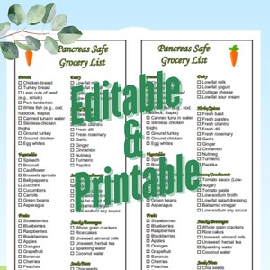 Pancreas Safe Printable EDITABLE Grocery Shopping Pancreatitis List Instant Download Doc & Pdf 2 in 1