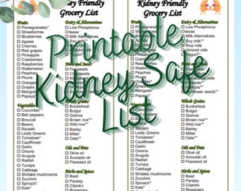 Kidney Safe Printable Healthy Grocery Foods List 2 in 1 PDF Instant Download