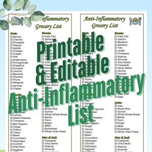 Lista de compras de alimentos editable para dieta antiinflamatoria, imprimible, descarga instantánea, 2 en 1, PDF y DOC