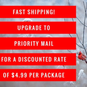 a red sign that says fast shipping upgrade to priority mail for a discount rate of