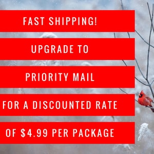 a red sign that says fast shipping upgrade to priority mail for a discount rate of
