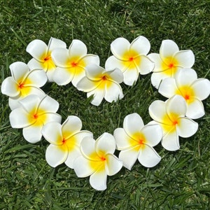 Hawaiian White Plumeria Hair Pick Tropical Accessory Beach Luau Foam Insert