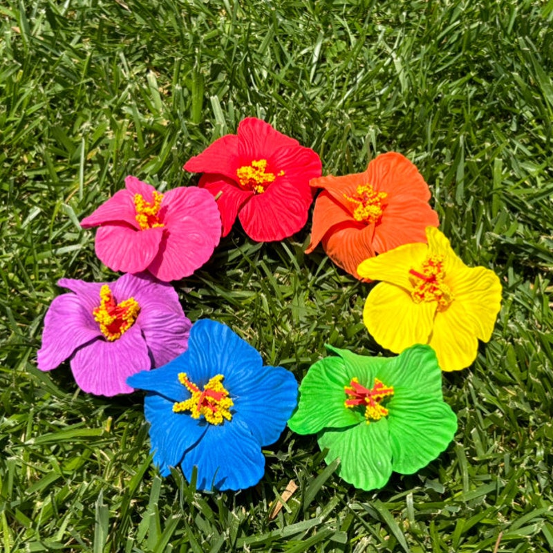 Hairpick Hibiscus main image 1