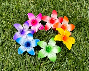 Plumeria hawaiana, accesorio para recoger el cabello tropical multicolor, inserto de espuma Luau de playa