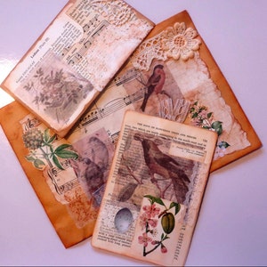 Set di effimeri in carta botanica e per uccelli, set di buste, per diari spazzatura, album, album di ritagli, cimeli, shabby chic, posta ordinaria