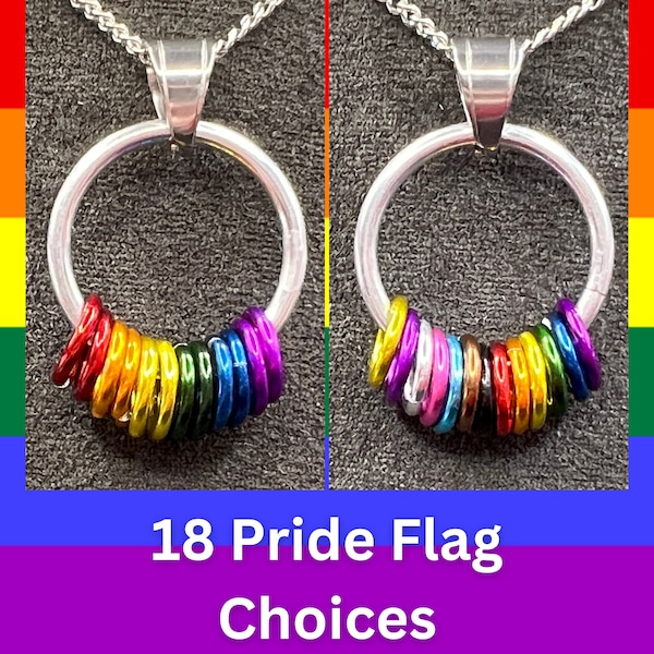 Pride Flag Fidget Pendant or Keychain in Pride Flag Colours Measuring approx. 1" Tall, Custom Length Stainless Steel Chain or Keychain Clip