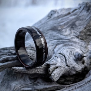 Meteorite & Macassar Ebony Wooden Ring, Campo Del Cielo Meteorite - Bentwood Galaxy Ring