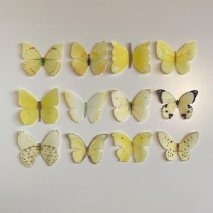 Yellow Edible 3D Wafer Paper Butterflies--30/65 Pre-cut Multi-designs Edible Butterflies or mixed sizes (14)
