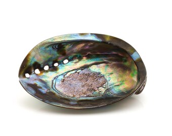 Abalone Paua aus dem Pazifik als Räucherschale oder Schmuckschale