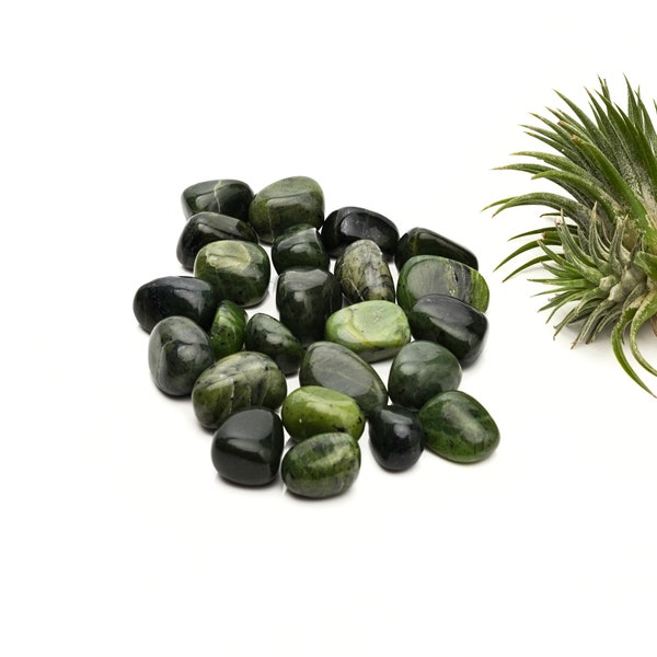 Nephrit Jade Trommelsteine