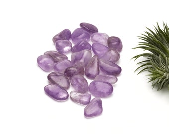 Amethyst Trommelsteine