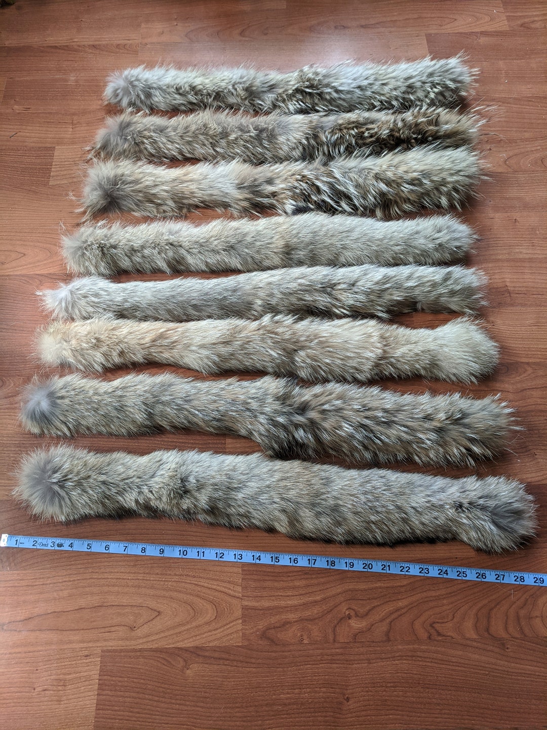Coyote Fur Hood Ruff for Coat or Parka Ready to Use Etsy