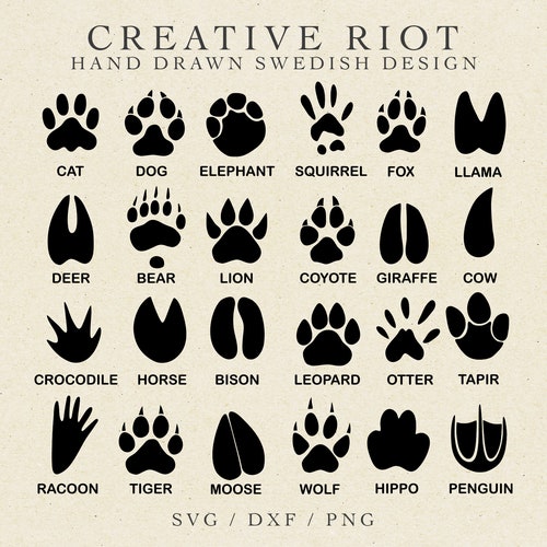 PAW PRINTS BUNDLE - Commercial Use Svg, Paws Clipart, Dog Paw Svg, Hunting Svg, Cricut Paw Svg, Animal Tracks Svg, Tracks Svg, Animal Paw