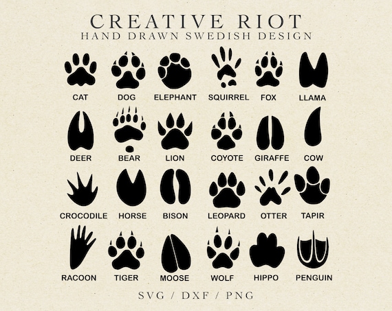 PAW PRINTS BUNDLE Commercial Use Svg, Paws Clipart, Dog Paw Svg
