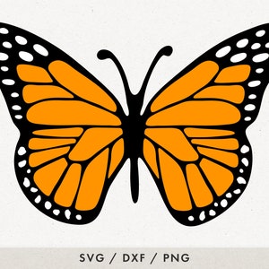 BUTTERFLY SVG - Butterflies Svg, Butterfly Clipart, Butterfly Vector, Cricut Butterfly Svg, Butterfly Cut File, Butterfly Silhouette