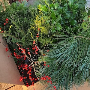 May include: A box filled with various types of greenery, including pine, holly, and cedar, with red berries scattered throughout.