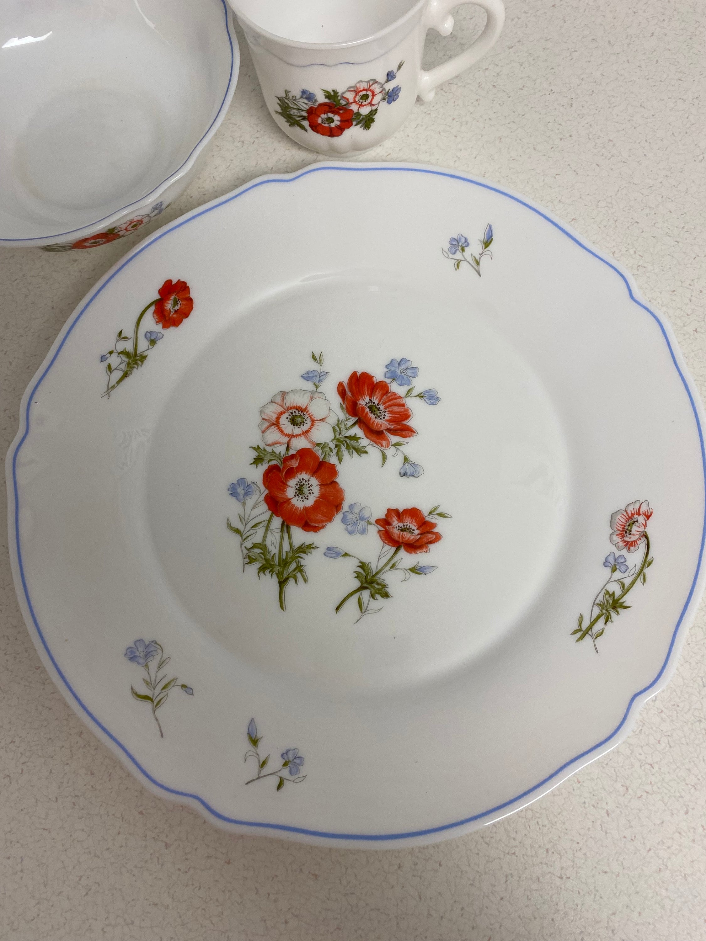 Lot De 6 Assiettes Plates Vintage Arcopal France, Diamètre 19,5 Cm, Décor Floral