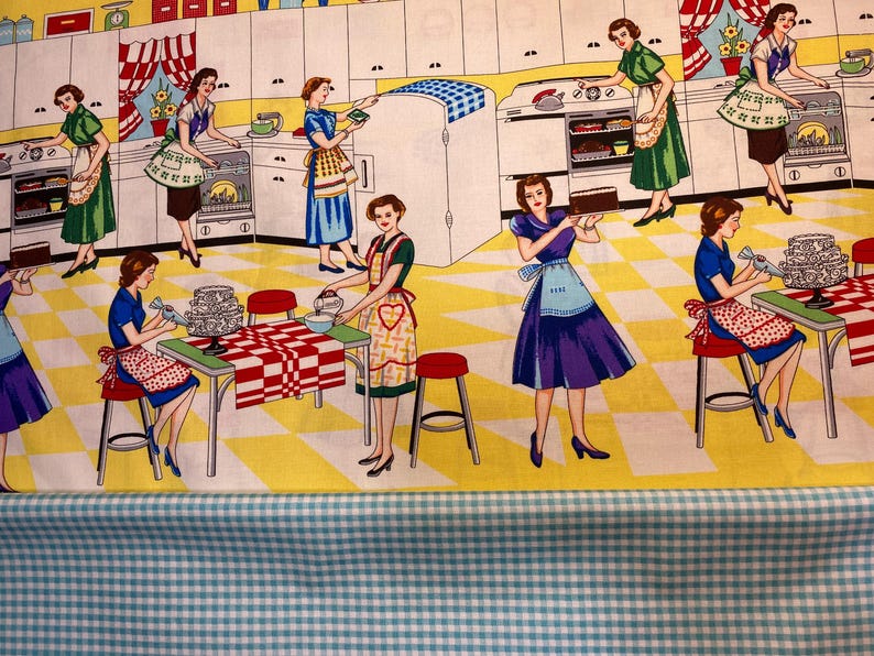 D. Two slice toaster Cover, Retro Fifties Kitchen Ladies, Reversible, Washable, Vintage Style, farmhouse, choose trim color, Home Ec Kitchen Aqua Gingham Check