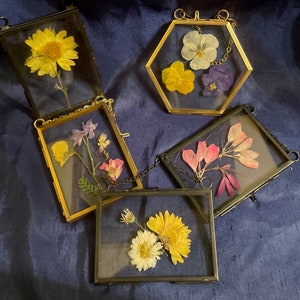 May include: Five gold-toned picture frames with glass fronts, each containing pressed flowers. The frames are arranged on a blue fabric surface. The flowers include yellow, pink, purple, and white.