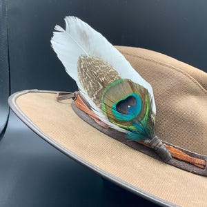 Peacock feather hatband clip