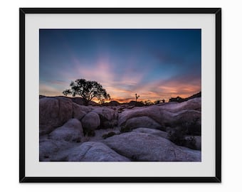 Desert Sunrise Photo in Joshua Tree National Park Landscape Photography Print Digital Download