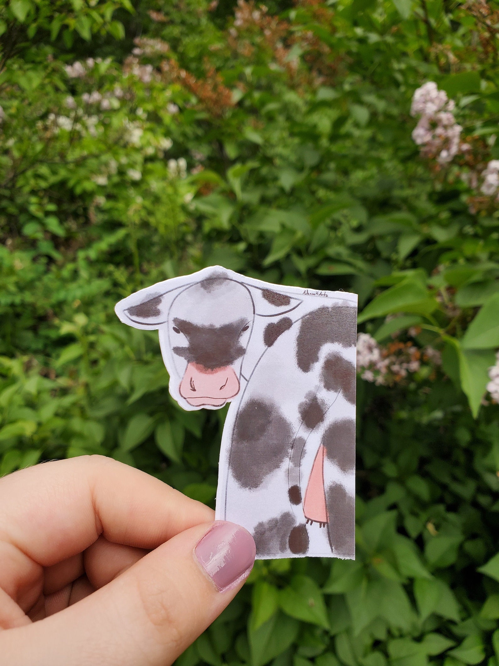 Vinyl cow sticker Etsy