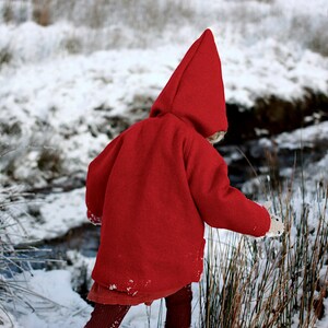 May include: A child wearing a red hooded coat stands in a snowy field. The child is reaching out with one hand towards a patch of tall grass.