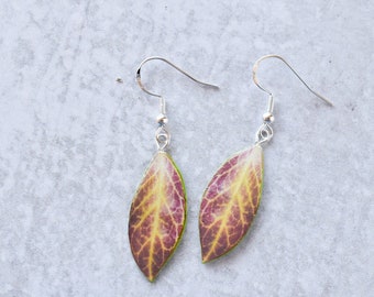 Hoya Sunrise // Orecchini foglia fatti a mano // Orecchini vegetali // Orecchini in argento sterling