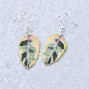 Ficus Tineke || Handmade Leaf Earrings || Plant Earrings || Sterling Silver Earrings