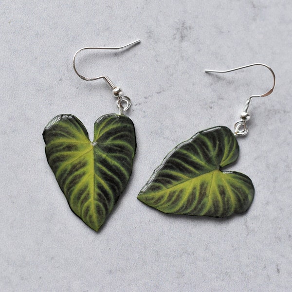 Philodendron Verrucosum || Handmade Leaf Earrings || Plant Earrings || Sterling Silver Earrings