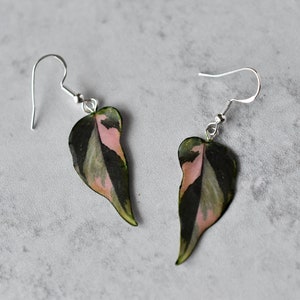 Philodendron Pink Princess &quot;PPP&quot; Camo || Handmade Leaf Earrings || Plant Earrings || Sterling Silver Earrings