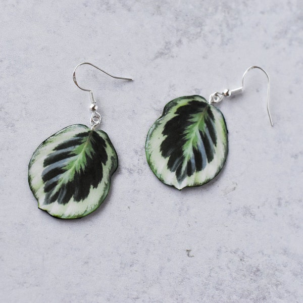 Calathea Roseopicta “Marion” || Handmade Leaf Earrings || Plant Earrings || Sterling Silver Earrings