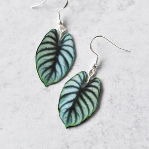 Alocasia Silver Dragon || Handmade Leaf Earrings || Plant Earrings || Sterling Silver Earrings
