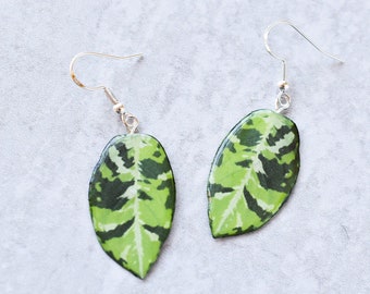 Aglaonema Pictum Tricolor || Handmade Leaf Earrings || Plant Earrings || Sterling Silver Earrings