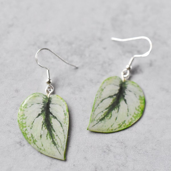 Scindapsus Pictus "Exotica" || Handmade Leaf Earrings || Plant Earrings || Sterling Silver Earrings