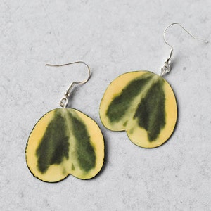 Hoya Kerrii Albomarginata || Handmade Leaf Earrings || Plant Earrings || Sterling Silver Earrings