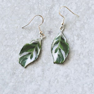 Calathea White Fusion || Handmade Leaf Earrings || Plant Earrings || Sterling Silver Earrings