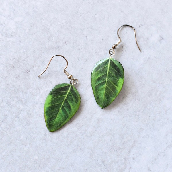 Ficus Audrey || Handmade Leaf Earrings || Plant Earrings || Sterling Silver Earrings