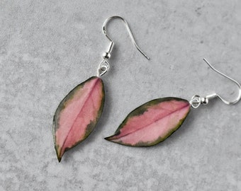 Hoya Krimson Princess // Pendientes de hojas hechos a mano // Pendientes de plantas // Pendientes de plata esterlina