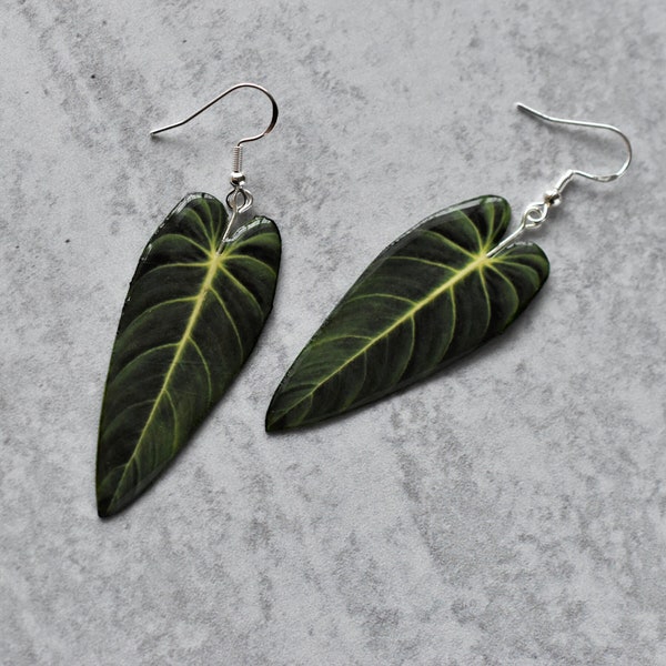 Philodendron Melanochrysum || Handmade Leaf Earrings || Plant Earrings || Sterling Silver Earrings