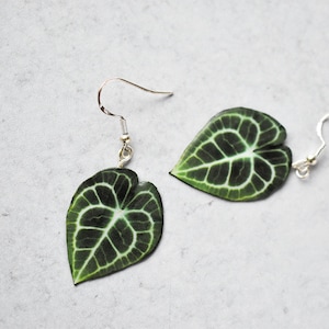 Anthurium Clarinervium // Pendientes de hoja hechos a mano // Pendientes de plantas // Pendientes de plata esterlina imagen 1