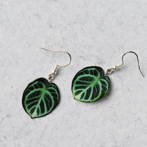 Anthurium Dorayaki || Handmade Leaf Earrings || Plant Earrings || Sterling Silver Earrings