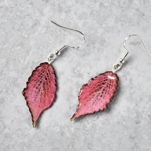 Fittonia Albivenis &quot;Frankie&quot; || Handmade Leaf Earrings || Plant Earrings || Sterling Silver Earrings