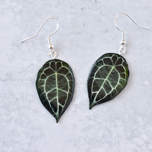 Anthurium Forgetii || Handmade Leaf Earrings || Plant Earrings || Sterling Silver Earrings