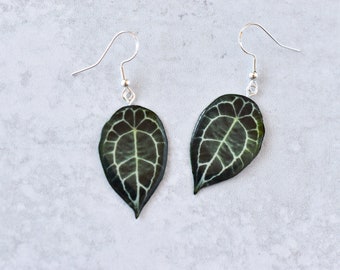 Anthurium Forgetii || Handmade Leaf Earrings || Plant Earrings || Sterling Silver Earrings