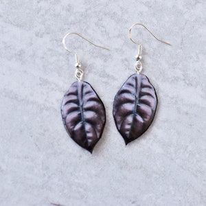 Alocasia Cuprea “Red Secret” || Handmade Leaf Earrings || Plant Earrings || Sterling Silver Earrings