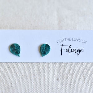 Hoya Krohniana Silver Stud Earrings