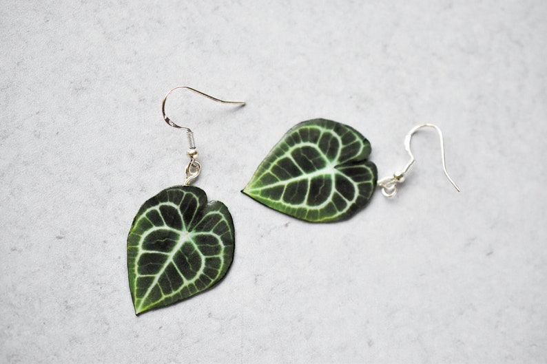 Anthurium Clarinervium // Pendientes de hoja hechos a mano // Pendientes de plantas // Pendientes de plata esterlina imagen 1