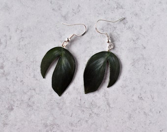 Rhaphidophora Decursiva “Dragon Tail” || Handmade Leaf Earrings || Plant Earrings || Sterling Silver Earrings